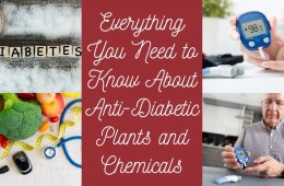 Anti-Diabetic Plants and Chemicals