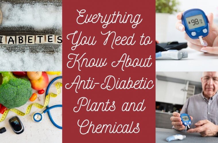 Anti-Diabetic Plants and Chemicals