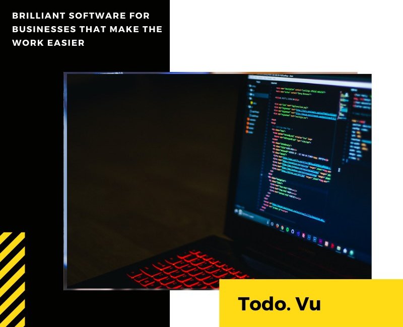 Todo. Vu is a project management software used by consultants, freelancers, and small businesses.