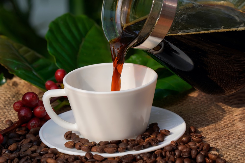 Coffee (Coffea Arabica)